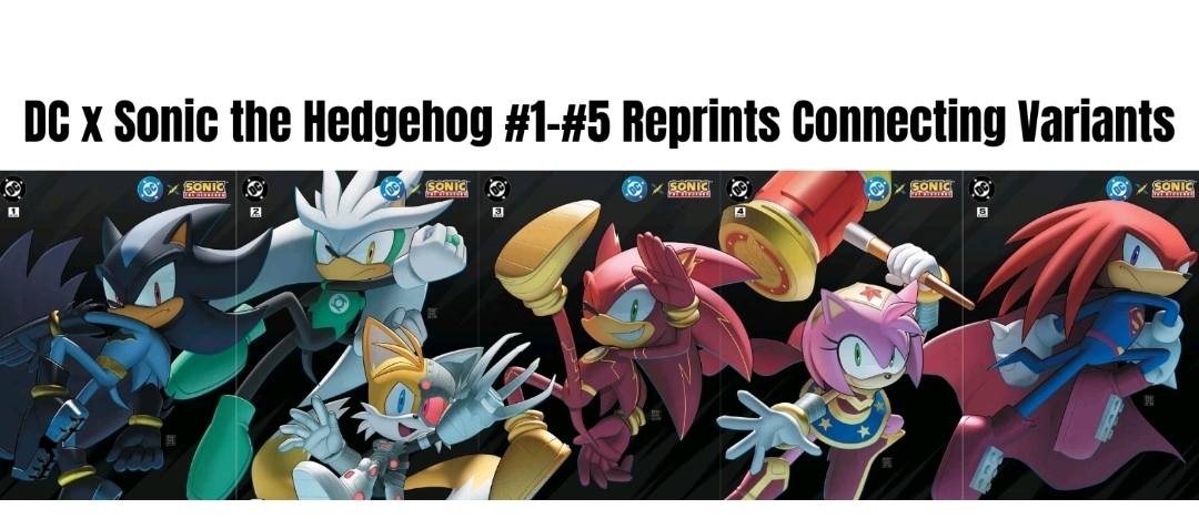 DC X SONIC THE HEDGEHOG #1-5 LATER PRINTING DEEGEEMIN CONNECTING SET
