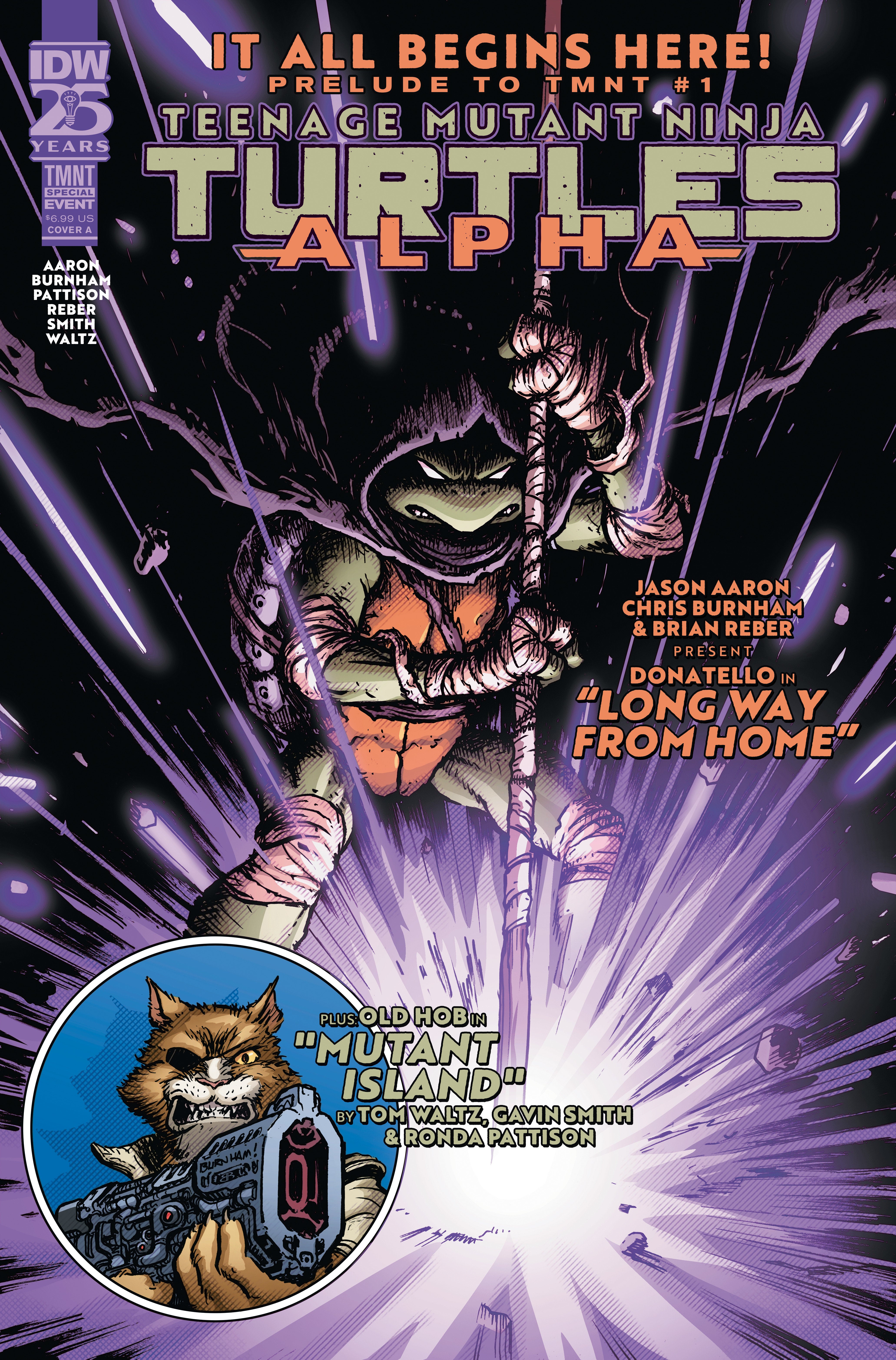 TEENAGE MUTANT NINJA TURTLES: ALPHA COVER A (BURNHAM)